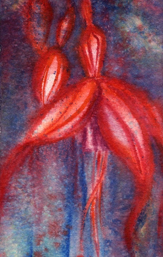 Fuchsia magellica, Deora De, Mary Dillon