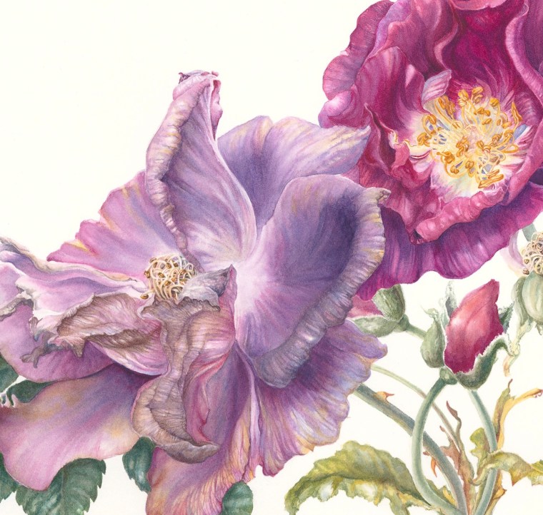 0FE77C65-6D13-447D-A856-4CA003C77E17